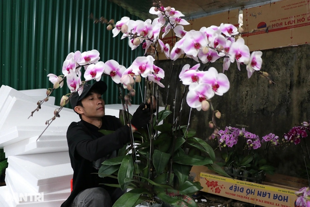 Thợ giỏi 20 ngày kiếm 160 triệu đồng, chủ tiệm chi nửa tỷ mời làm mùa Tết - 4