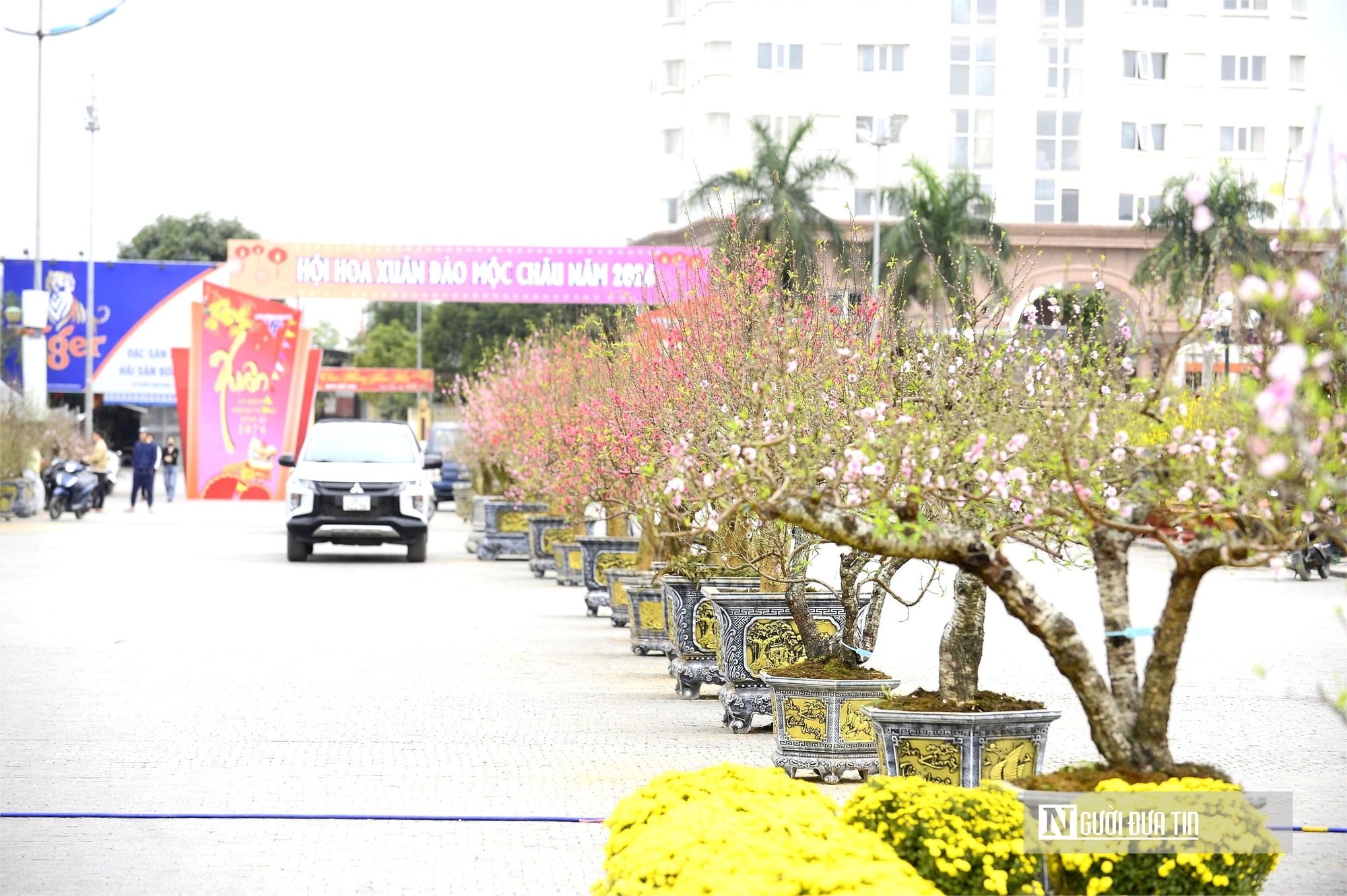 Chợ hoa đào rực rỡ sắc màu, có cây giá thuê lên tới 100 triệu đồng- Ảnh 2. Chợ hoa đào rực rỡ sắc màu, có cây giá thuê lên tới 100 triệu đồng- Ảnh 2.