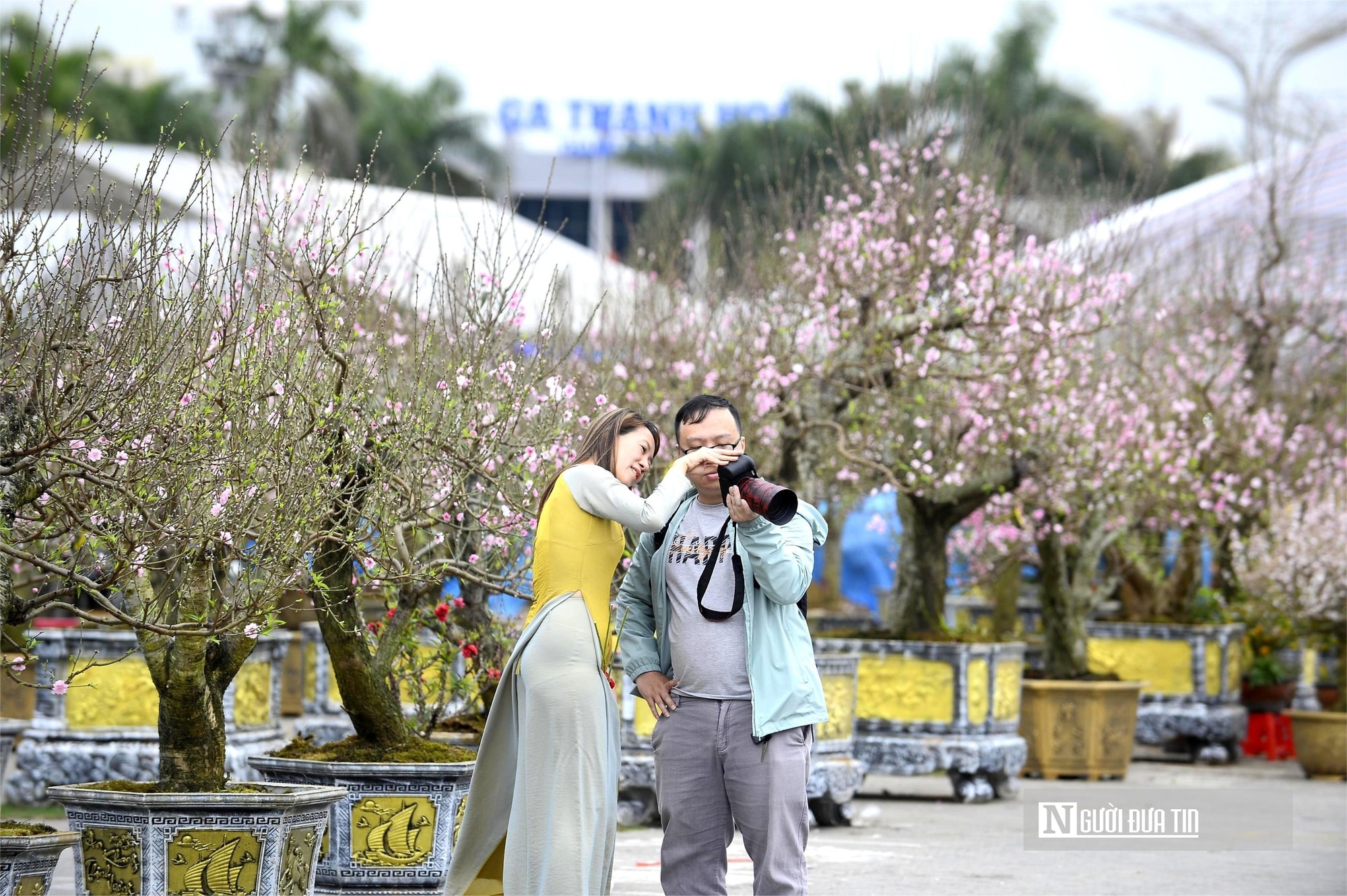 Chợ hoa đào rực rỡ sắc màu, có cây giá thuê lên tới 100 triệu đồng- Ảnh 13. Chợ hoa đào rực rỡ sắc màu, có cây giá thuê lên tới 100 triệu đồng- Ảnh 13.