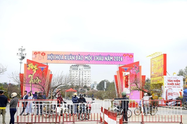 Chợ hoa đào rực rỡ sắc màu, có cây giá thuê lên tới 100 triệu đồng- Ảnh 1. Chợ hoa đào rực rỡ sắc màu, có cây giá thuê lên tới 100 triệu đồng- Ảnh 1.