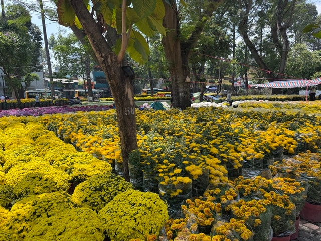 Không khí chợ hoa Tết ở TPHCM sôi động trước ngày khai trương 2026 - Ảnh 3.