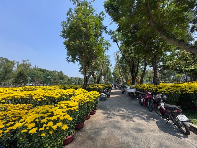 Không khí chợ hoa Tết ở TPHCM sôi động trước ngày khai trương 2026 - Ảnh 6.