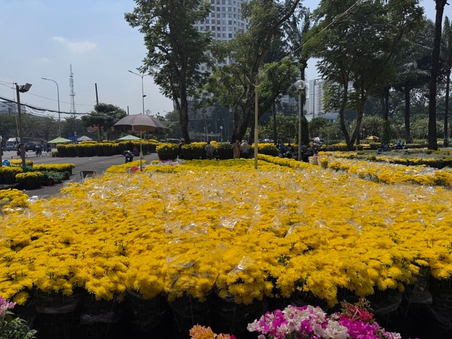 Không khí chợ hoa Tết ở TPHCM sôi động trước ngày khai trương 2026 - Ảnh 5.