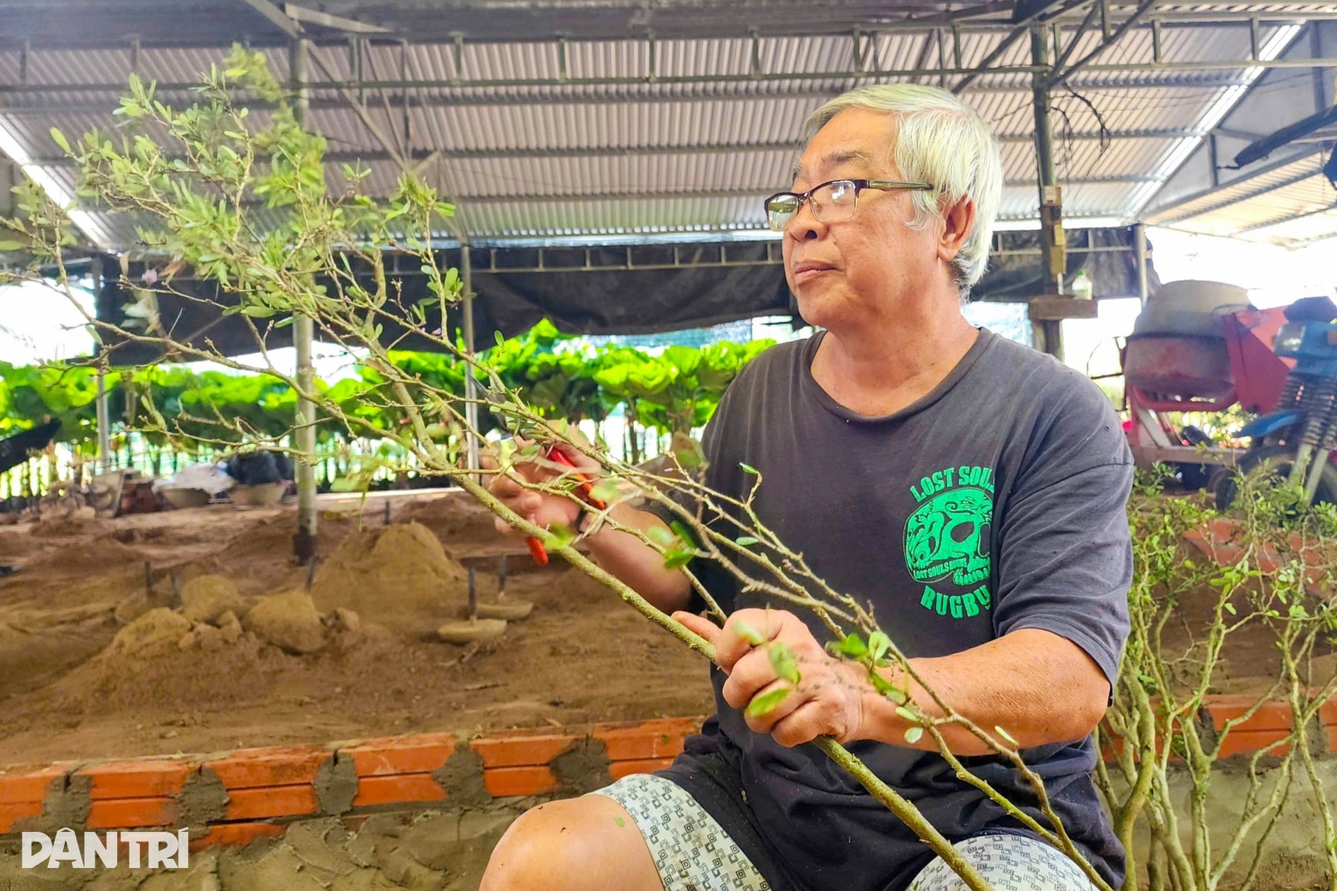 Nhà vườn miền Tây kể cách làm linh vật ngựa từ cây quất cảnh - 9 Nhà vườn miền Tây kể cách làm linh vật ngựa từ cây quất cảnh - 9