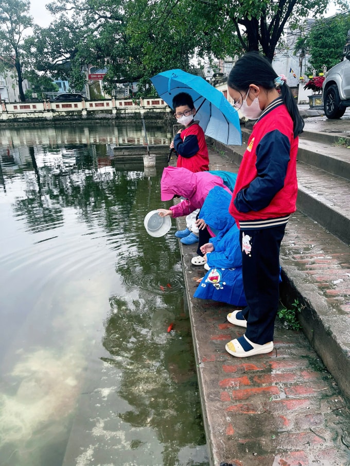 Gia đình chị Giang, 38 tuổi, ở phường Nam Từ Liêm thả cá cúng ông Táo tại ao trong đình làng gần nhà, sáng 8/2. Ảnh: Nhân vật cung cấp