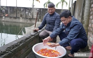 Đặt mâm cỗ cúng ông Công ông Táo ở đâu là chuẩn nhất? - Ảnh 2.