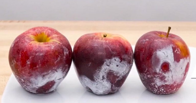 Gọi tên 2 loại quả dễ 