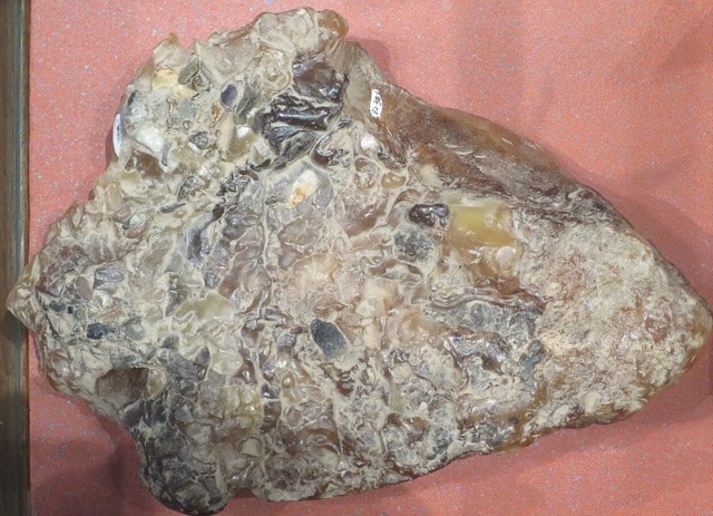 Đánh cá trên biển, 3 ngư dân vớt được thứ trị giá 67 tỷ đồng - Ảnh 2.