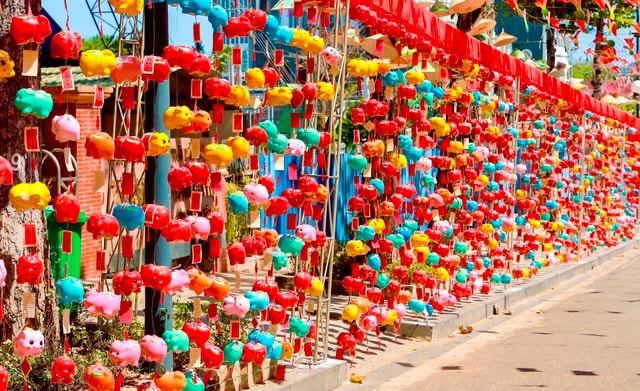 "Đường heo đất" rực rỡ sắc Xuân - Ảnh 1.