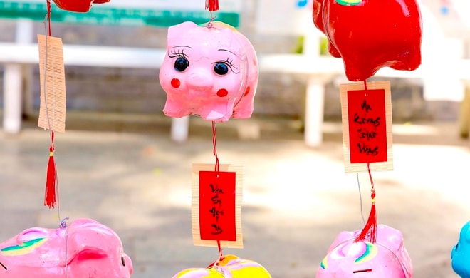 "Đường heo đất" rực rỡ sắc Xuân - Ảnh 5.