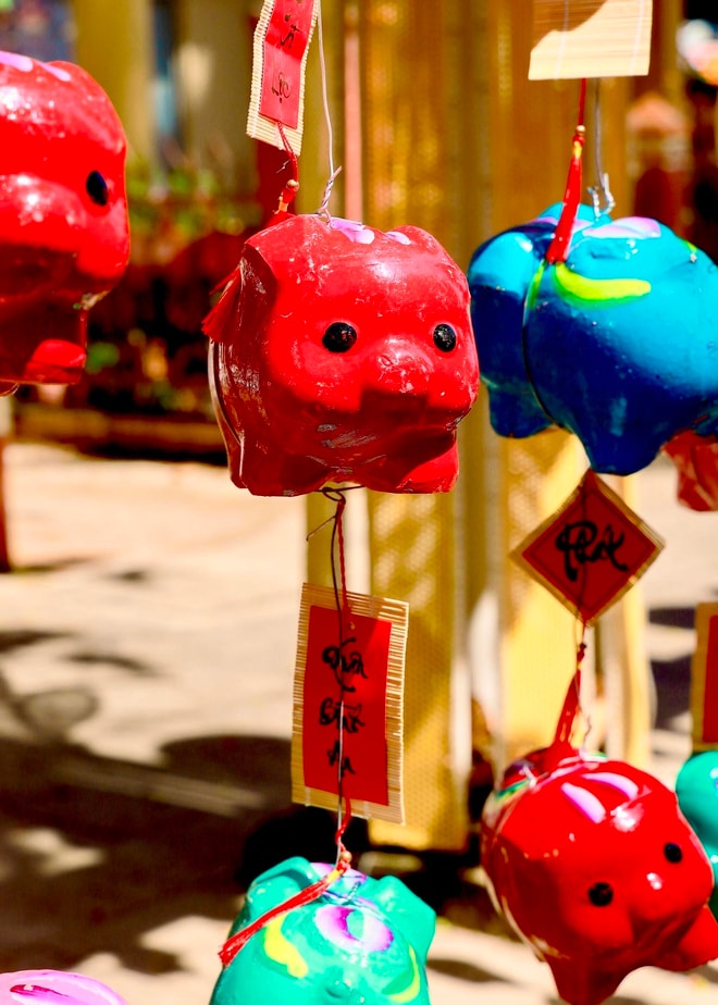 "Đường heo đất" rực rỡ sắc Xuân - Ảnh 2.