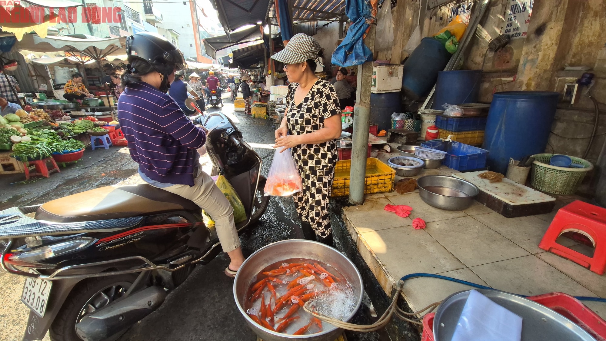 Chợ Tết 23 tháng Chạp: Cá chép nhỏ và trái cây đổ bộ Thị trường cúng ông Táo - Ảnh 3.