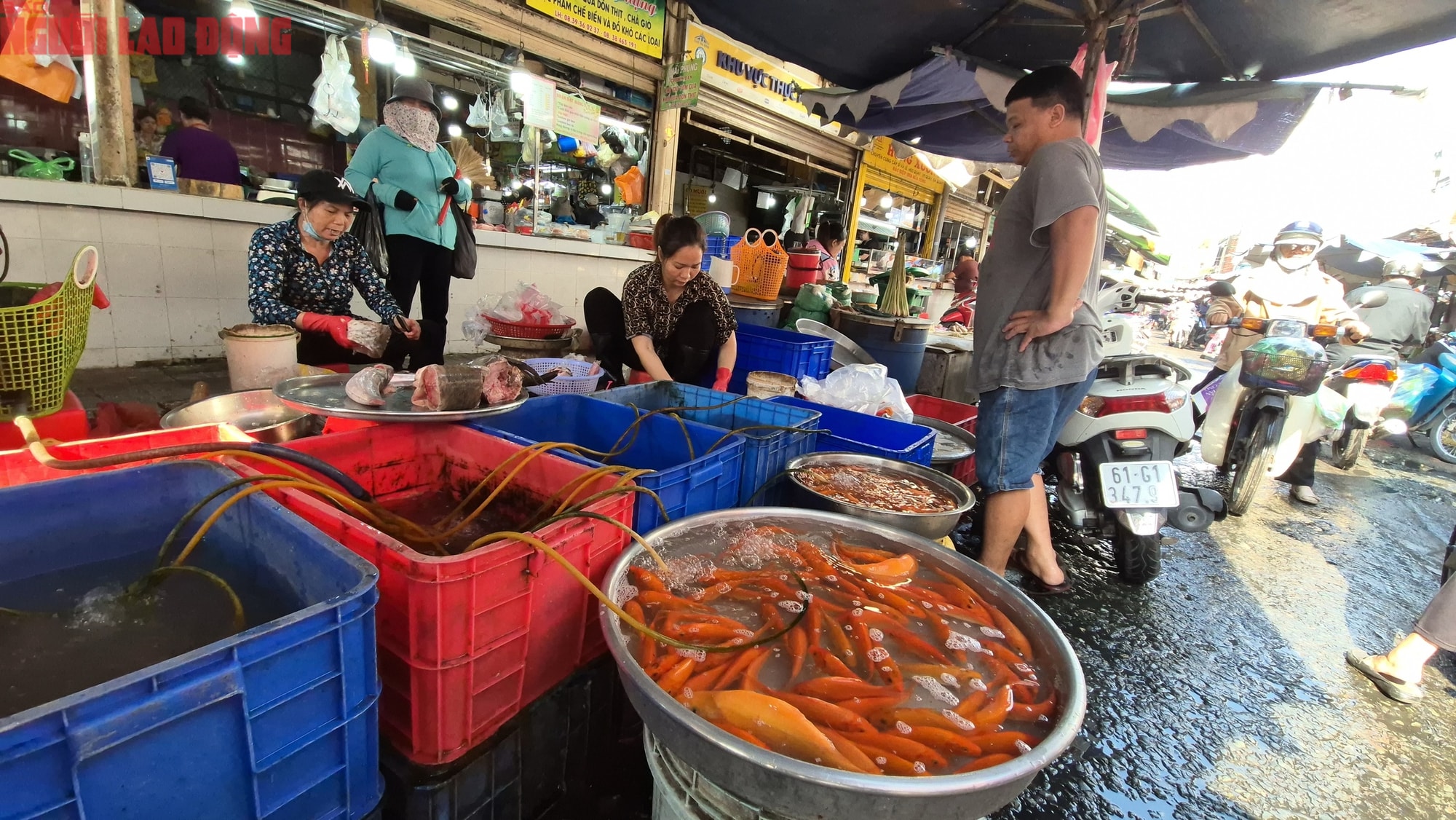 Chợ Tết 23 tháng Chạp: Cá chép nhỏ và trái cây đổ bộ Thị trường cúng ông Táo - Ảnh 4.