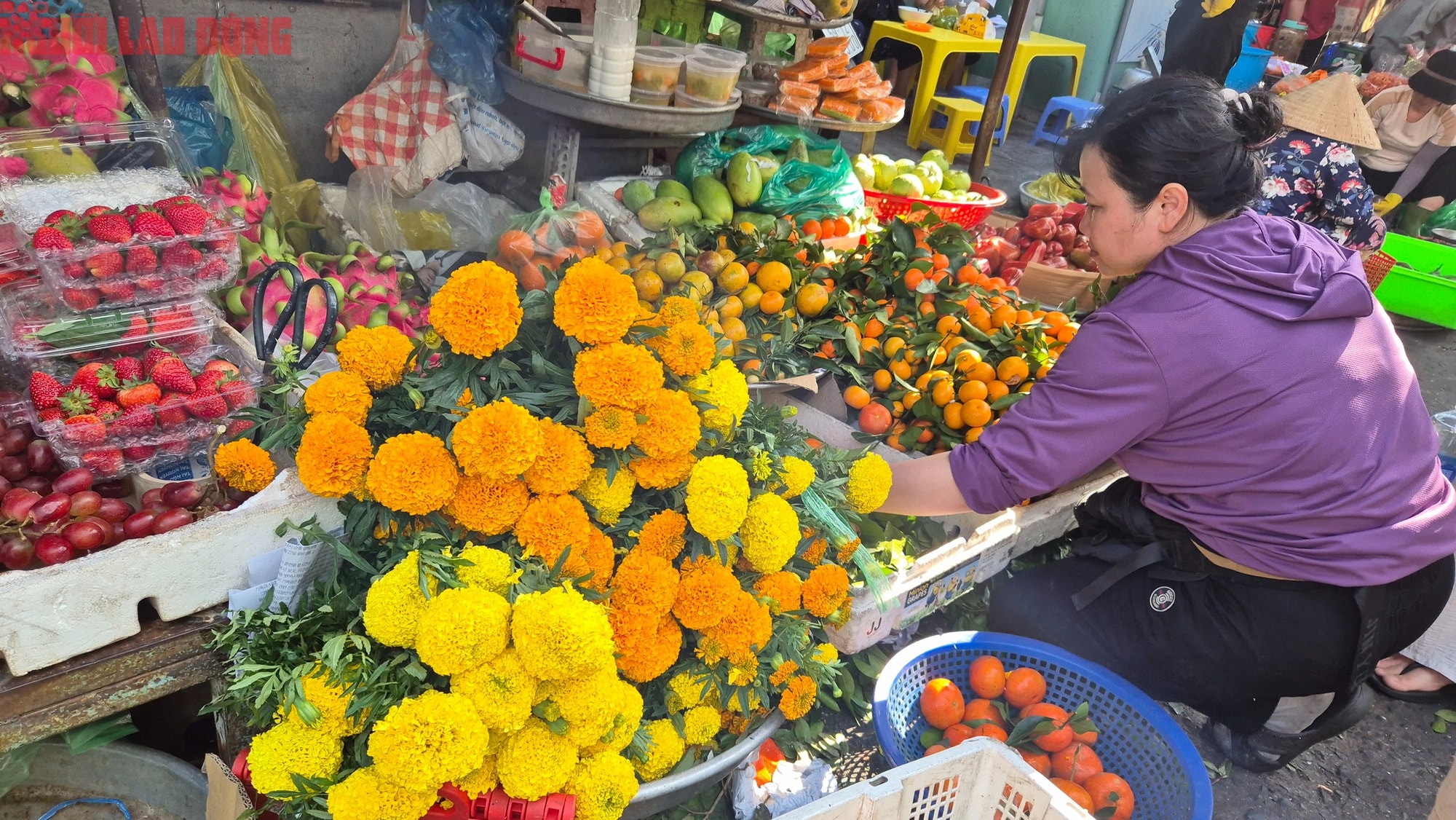 Chợ Tết 23 tháng Chạp: Cá chép nhỏ và trái cây đổ bộ Thị trường cúng ông Táo - Ảnh 10.