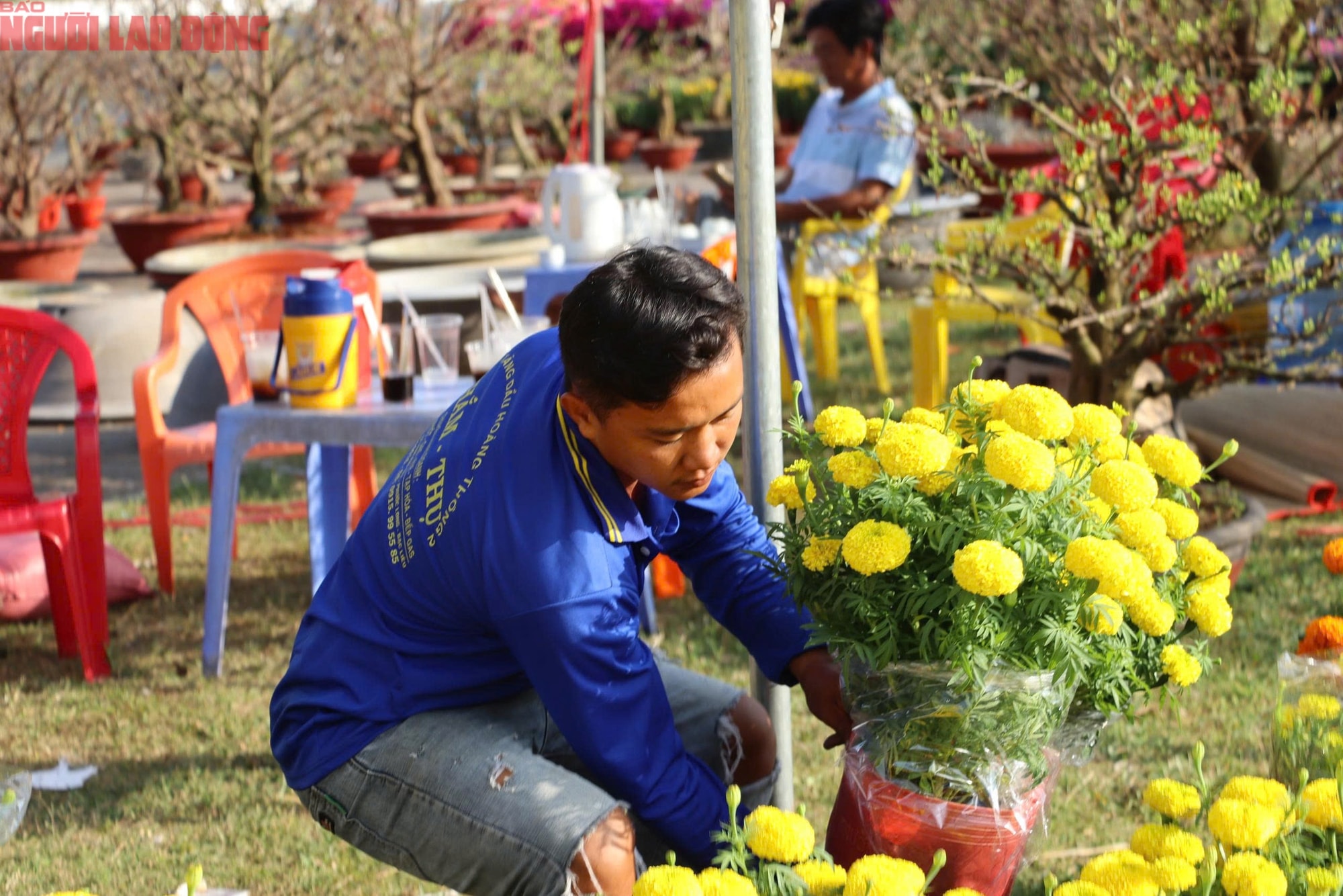 Hoa kiểng Tết 2026 giá bình dân hút khách tại miền Tây - Ảnh 4.