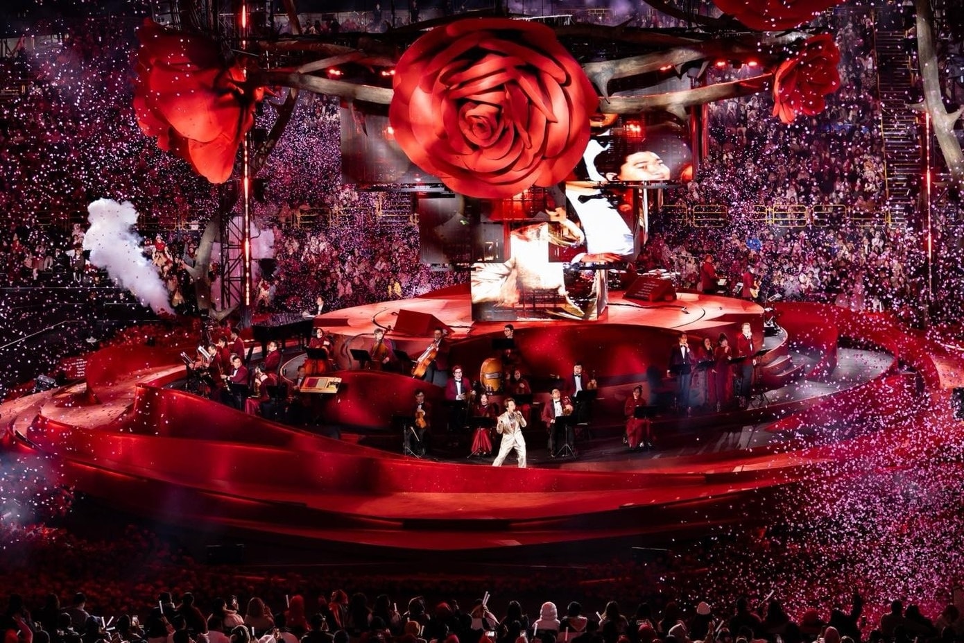 cát-xê ảnh 5 cat-xe anh 5