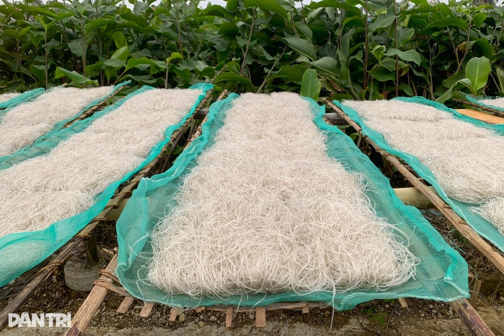 Trắng đêm làm miến dong vẫn không đủ hàng bán Tết - 3