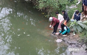 Siết chặt kiểm soát y tế tại sân bay trước nguy cơ dịch virus Nipah - Ảnh 5.