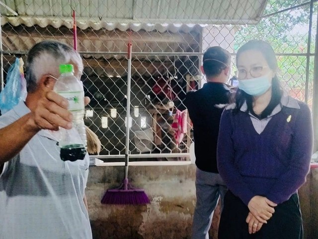 Hà Tĩnh: Kích hoạt các biện pháp khẩn cấp, chống dịch H5N1 lây lan sang người- Ảnh 3.