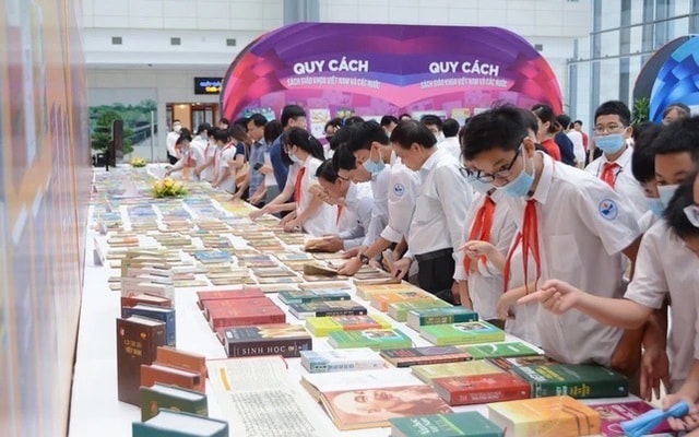 Lợi nhuận quý IV/2025 của SED “bốc hơi” 97%, doanh thu giảm hơn nửa- Ảnh 1.