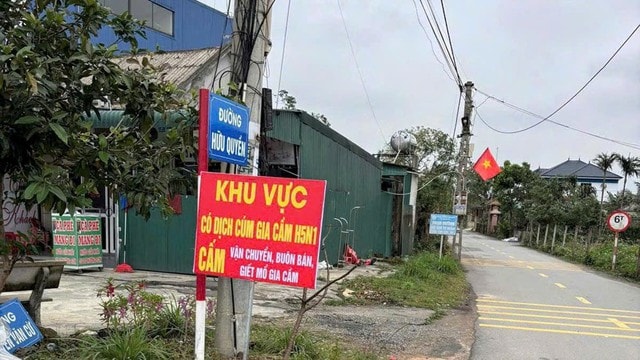 Hà Tĩnh: Kích hoạt các biện pháp khẩn cấp, chống dịch H5N1 lây lan sang người- Ảnh 1.