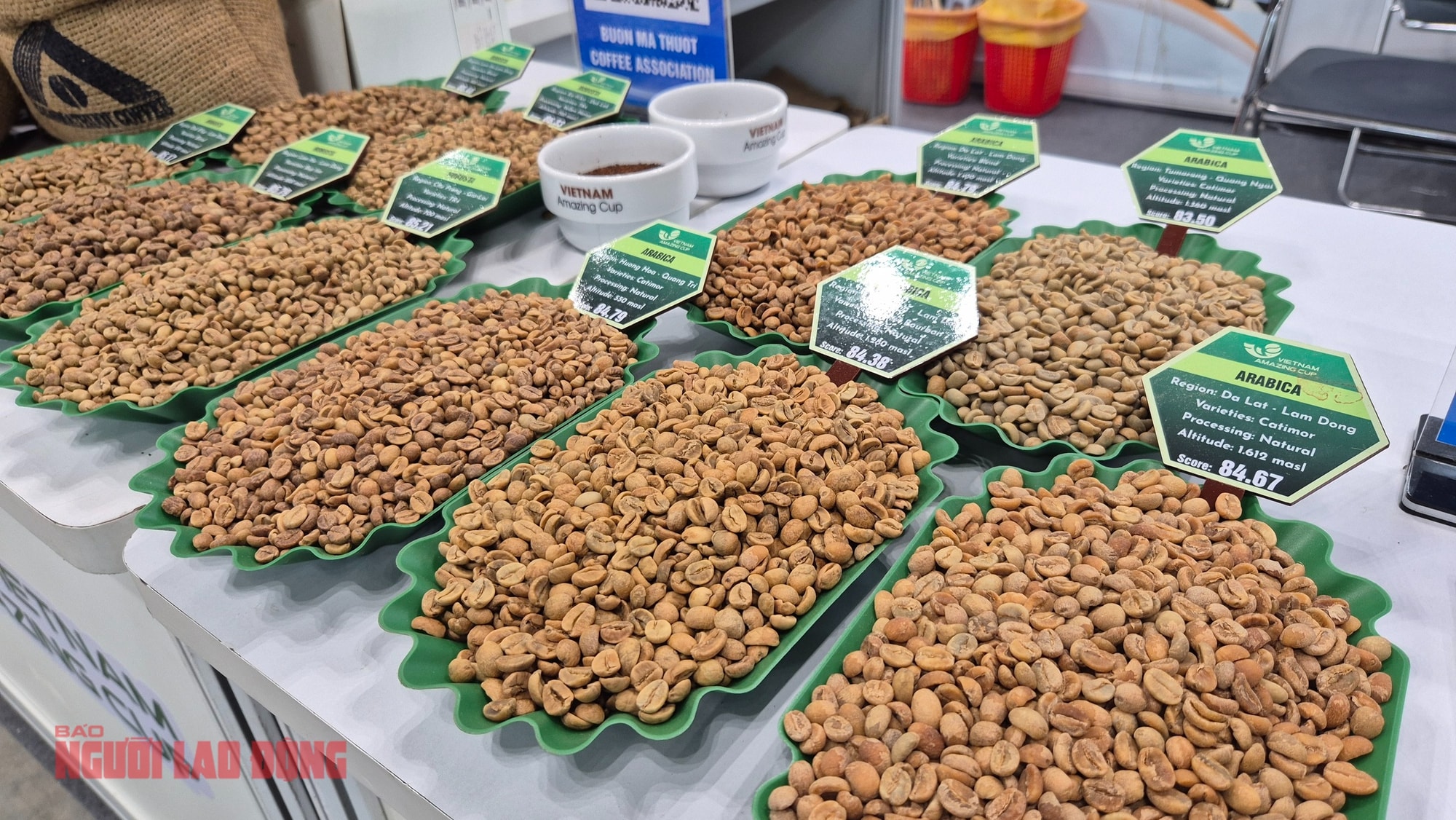 Giá cà phê hôm nay 11 - 2 giảm mạnh trước dự báo Brazil được mùa khủng - Ảnh 2.