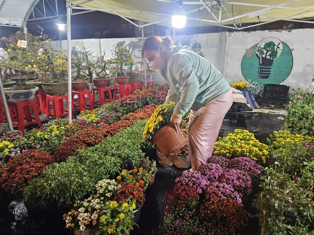 Thị trường hoa Tết 2026: Những lọai hoa đang “ cháy hàng ” và giá cả hấp dẫn - Ảnh 1.