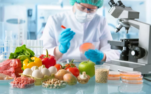 Bộ Y tế kiểm tra đột xuất việc trực cấp cứu, khám, chữa bệnh dịp Tết - Ảnh 2.