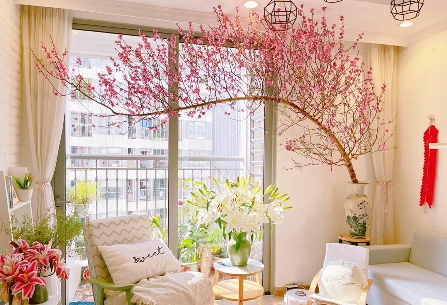 Nên tận dụng ánh sáng tự nhiên khi trang trí nhà nhỏ. (Ảnh: Doctor Nội Thất)