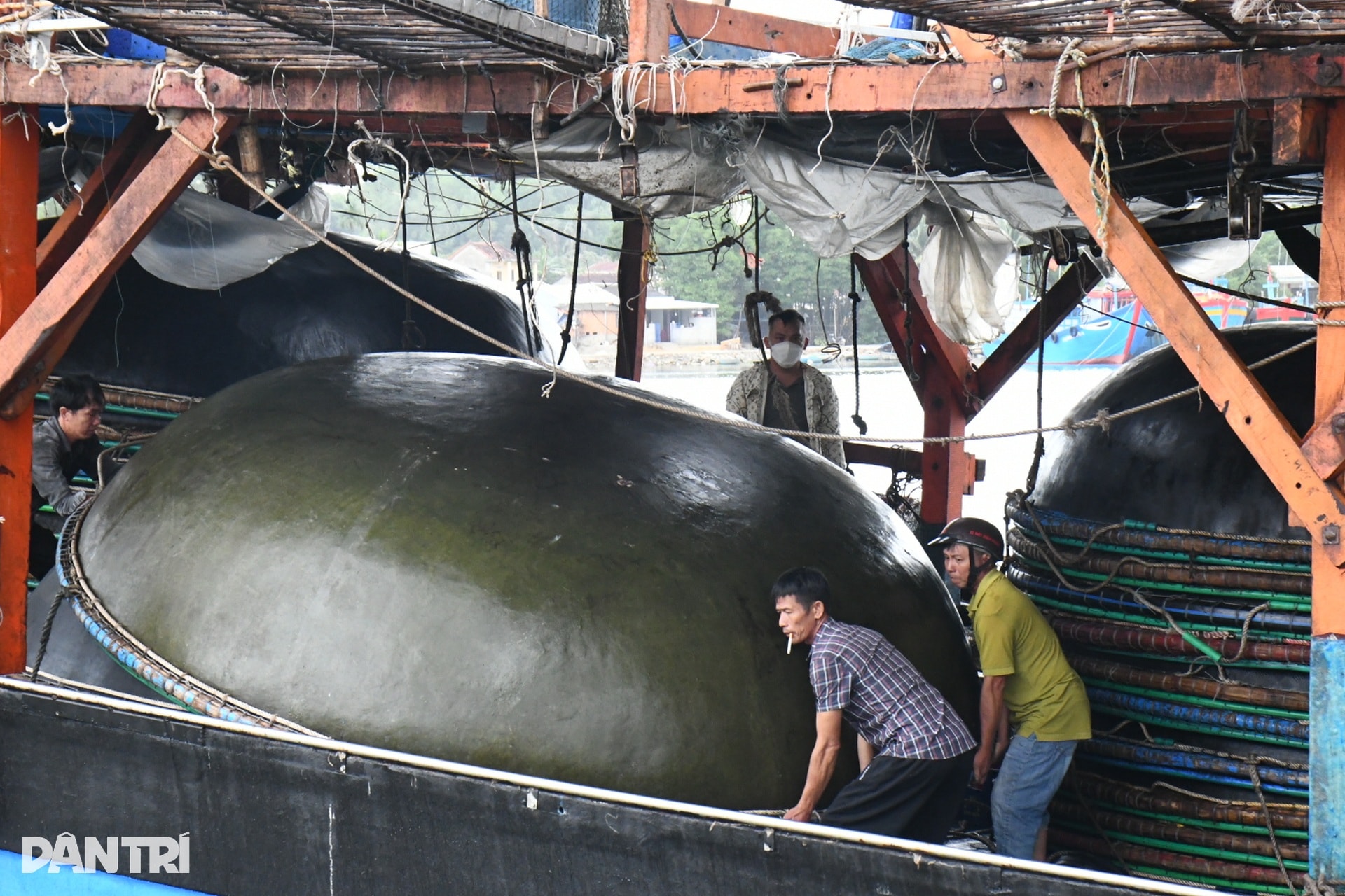 Cận cảnh “tàu sân bay” từ Trường Sa về đất liền đón Tết - 6