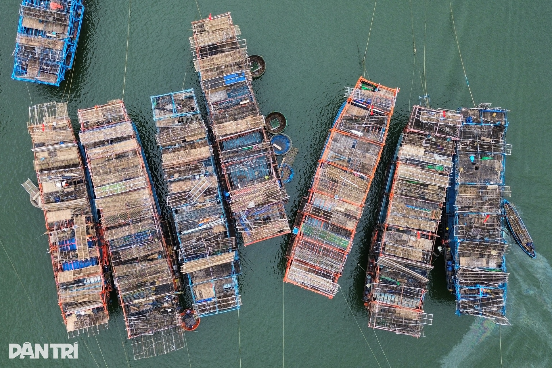 Cận cảnh “tàu sân bay” từ Trường Sa về đất liền đón Tết - 5