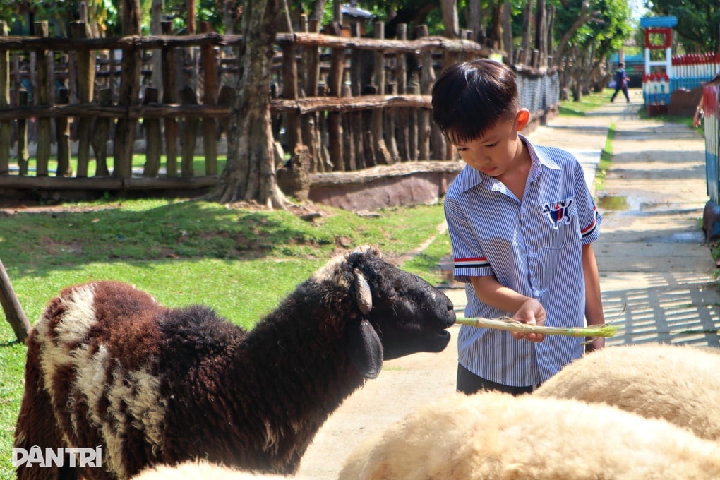 Nhiều điểm check-in trong phim trường khu du lịch nổi tiếng Cần Thơ - 6