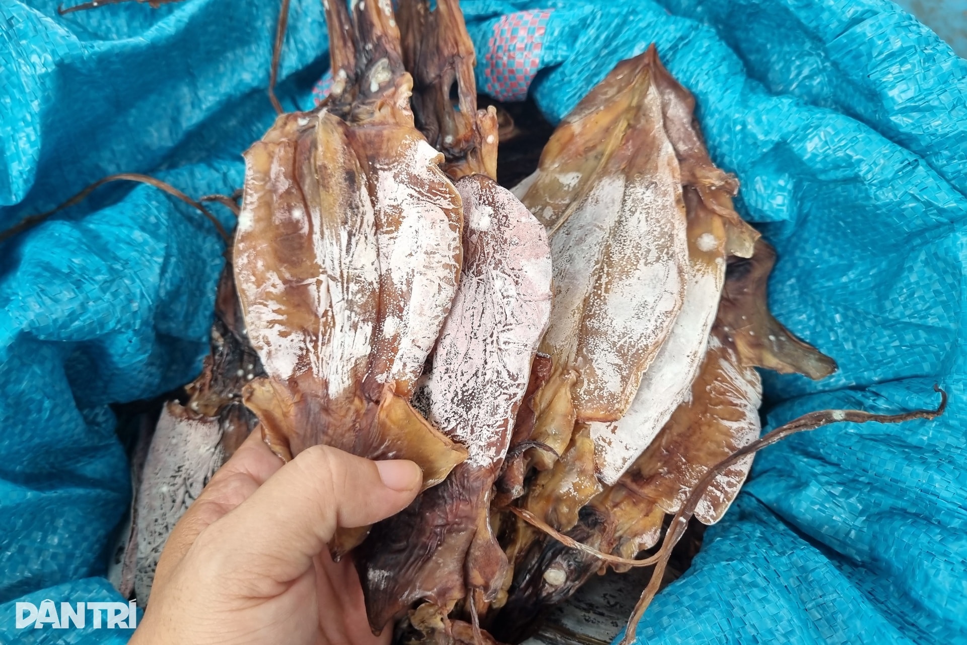 Cận cảnh “tàu sân bay” từ Trường Sa về đất liền đón Tết - 2