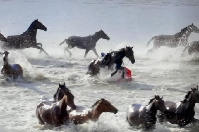 Bà Hạ ngã ngựa năm 2020. Ảnh: Nfnews