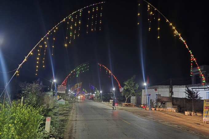 Cây nêu được người dân dựng hai bên đường tại các xã ở Nghệ An mỗi dịp Tết Nguyên đán. Ảnh: Đức Hùng