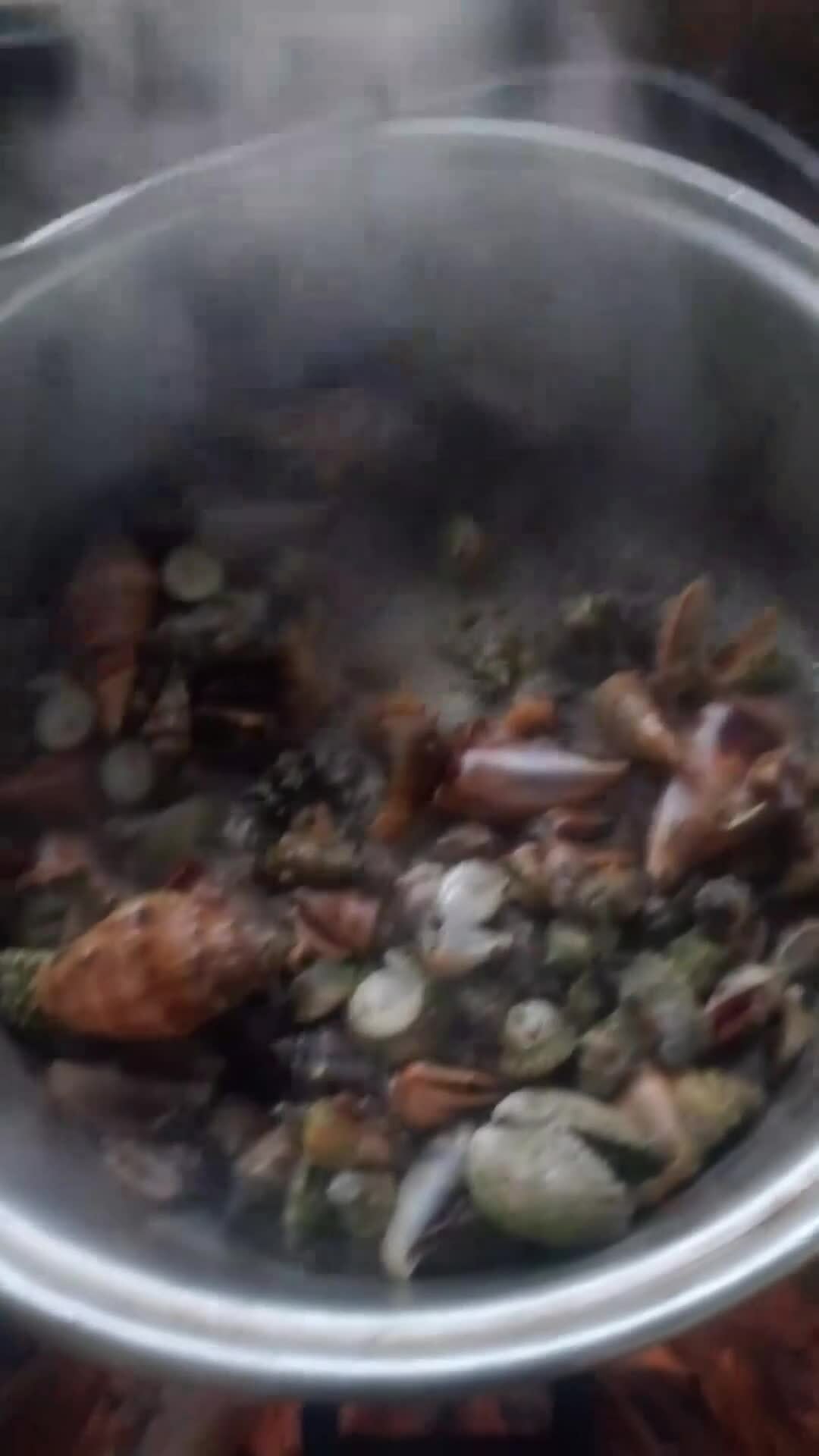 Vlogger tử vong sau khi ăn 'cua quỷ' để quay video