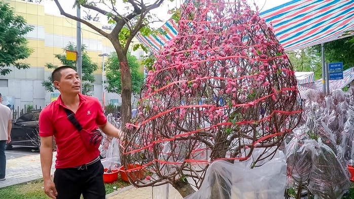 - Ảnh 4. - Ảnh 4.