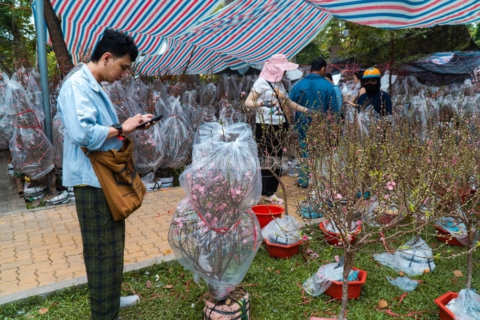 - Ảnh 11. - Ảnh 11.