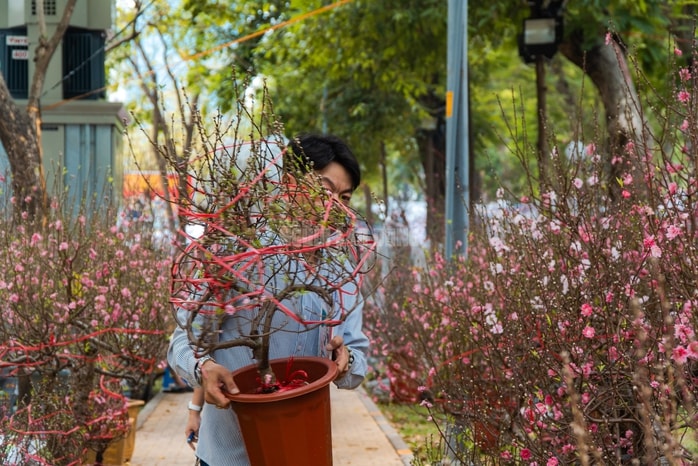 - Ảnh 15. - Ảnh 15.