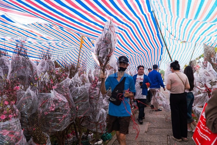 - Ảnh 17. - Ảnh 17.