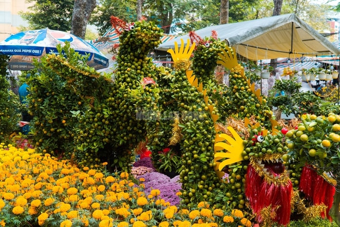 - Ảnh 21. - Ảnh 21.