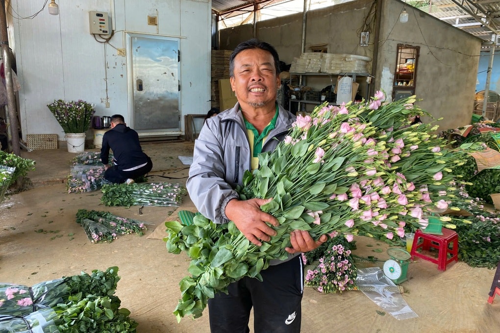 Hoa “cháy” hàng, chủ trang trại Lâm Đồng làm việc xuyên Tết - 2