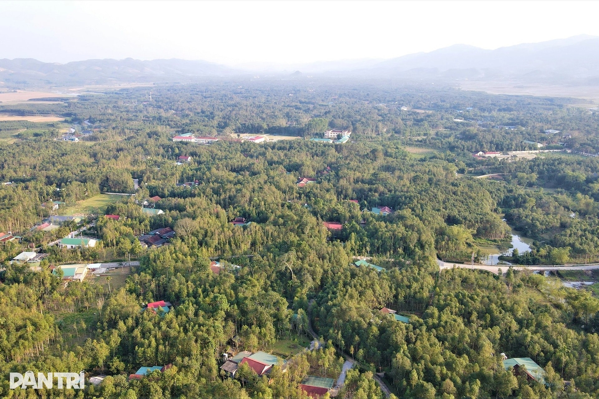 Giáp Tết, về xã miền núi thu trăm tỷ mỗi năm nhờ tìm vàng trong thân cây - 1 Giáp Tết, về xã miền núi thu trăm tỷ mỗi năm nhờ tìm vàng trong thân cây - 1