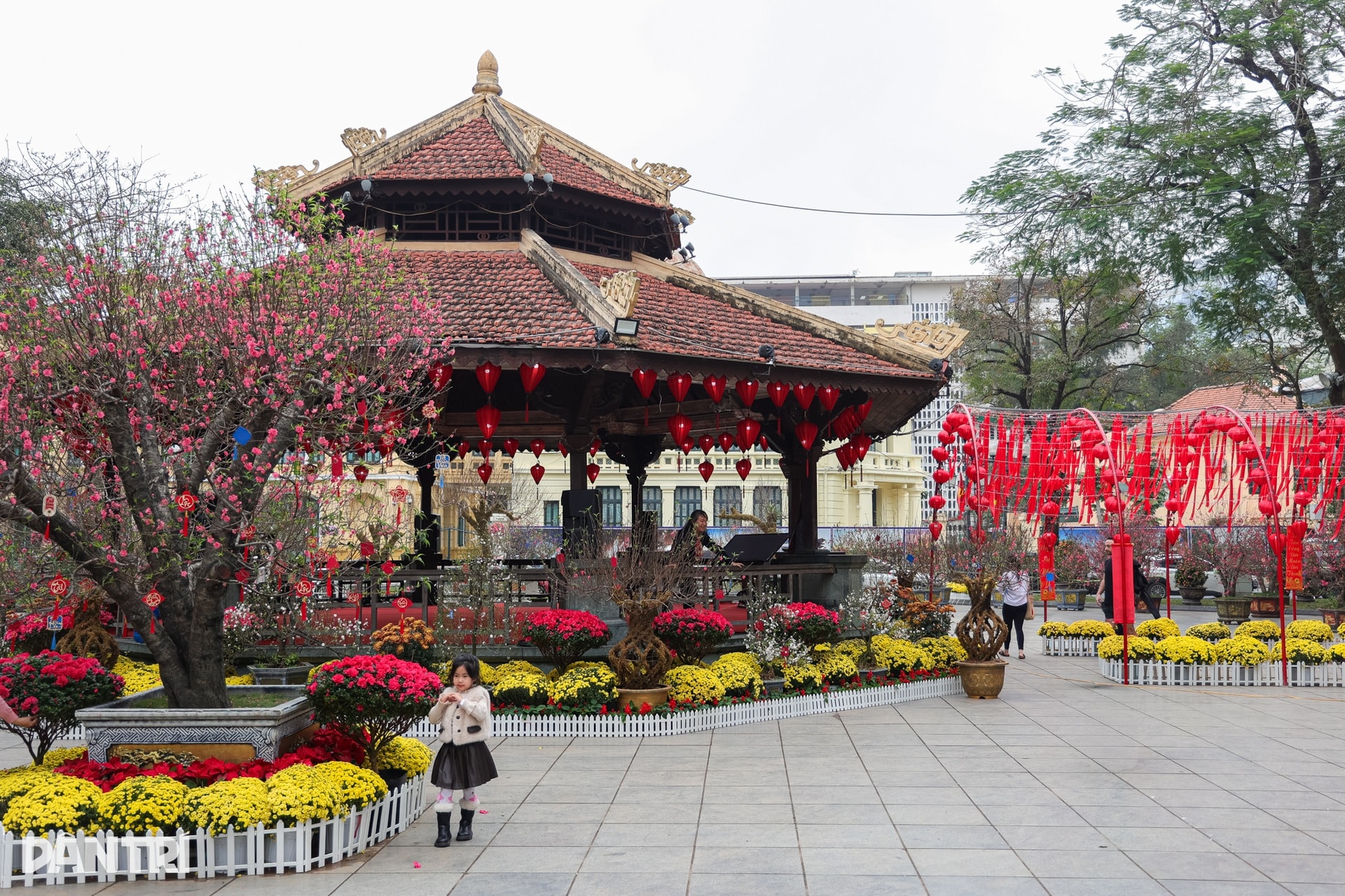 Du khách choáng ngợp không gian xuân Hà Nội - 7