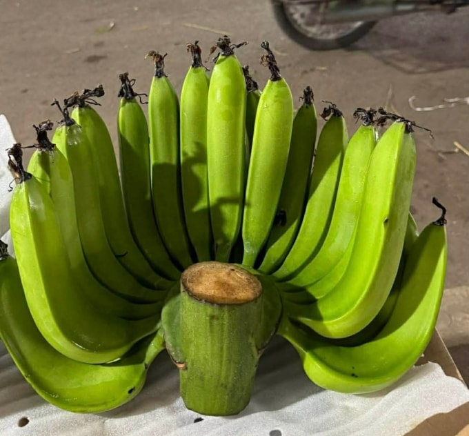 Nải chuối xanh 33 quả được bán giá 1,2 triệu đồng, ngày 12/2. Ảnh: Kiêm Dũng