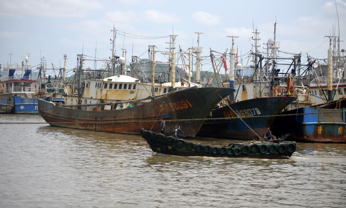 Tàu cá Trung Quốc neo đậu ở thành phố Chu Sơn hồi năm 2019. Ảnh: Reuters
