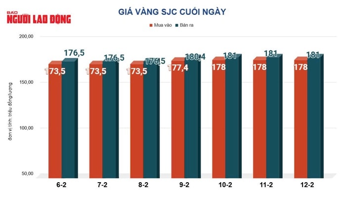 Giá vàng hôm nay 13-2: Giảm thẳng đứng - Ảnh 2.