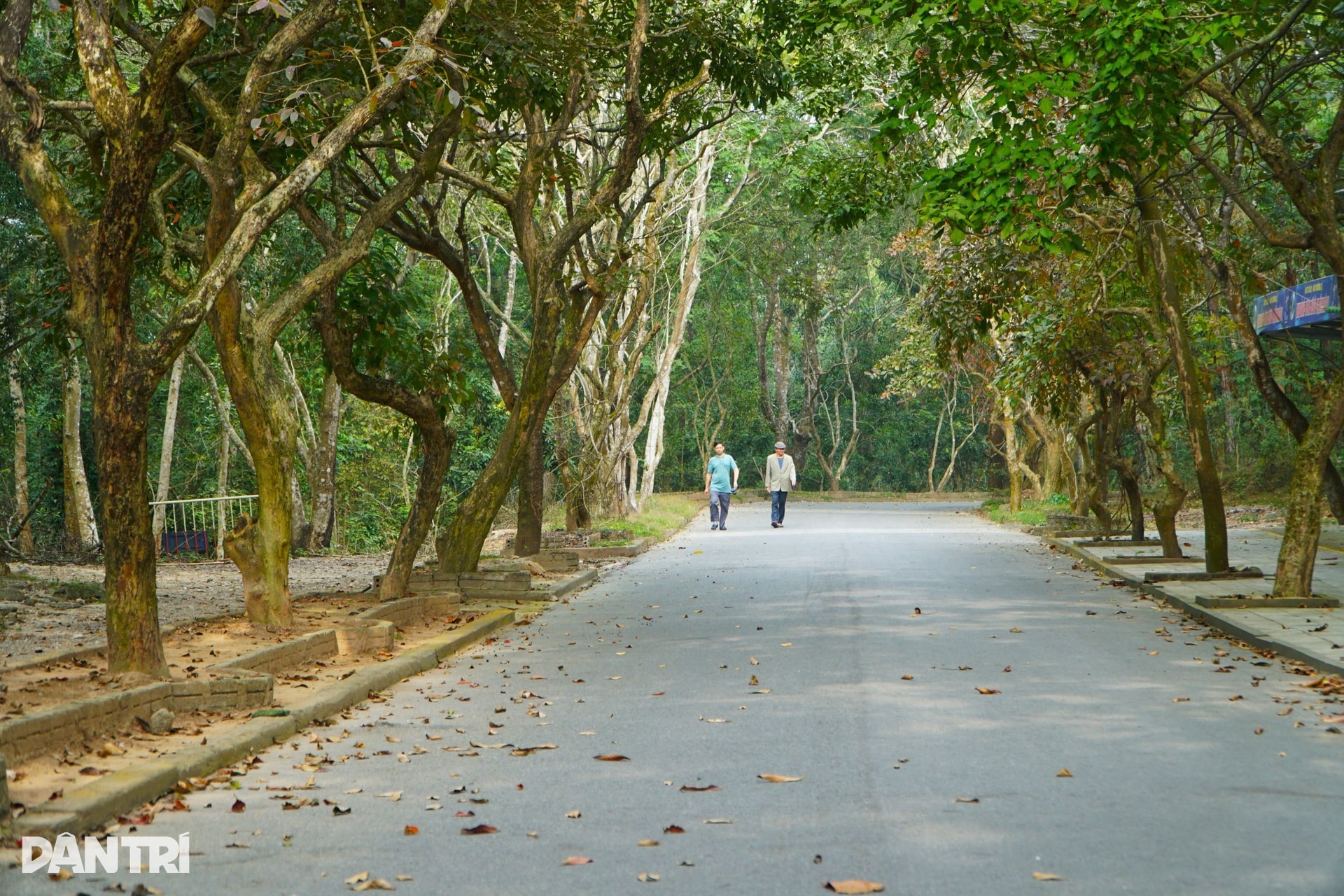 Hai phiến đá biểu tượng của tình yêu trên đỉnh Trường Lệ ở Sầm Sơn - 10 Hai phiến đá biểu tượng của tình yêu trên đỉnh Trường Lệ ở Sầm Sơn - 10