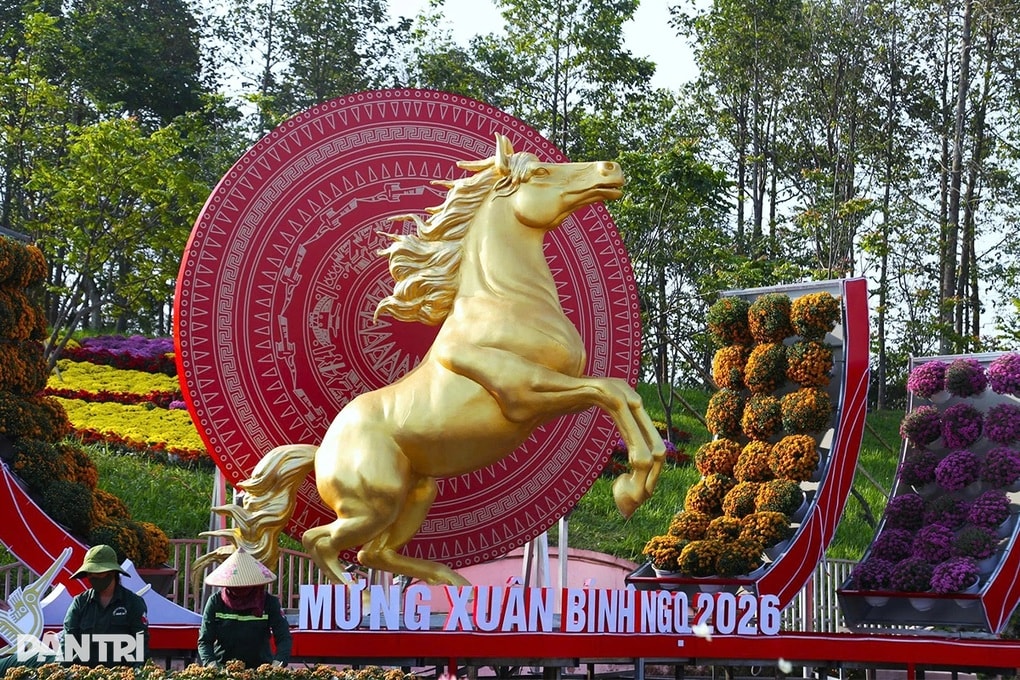 Linh vật ngựa ở Nghệ An được khen chăm tập gym - 2