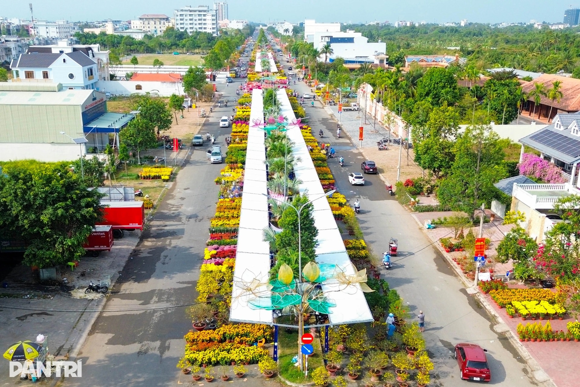 Chợ hoa Tết Cần Thơ nhộn nhịp, hoa cỡ vừa và nhỏ hút khách - 2